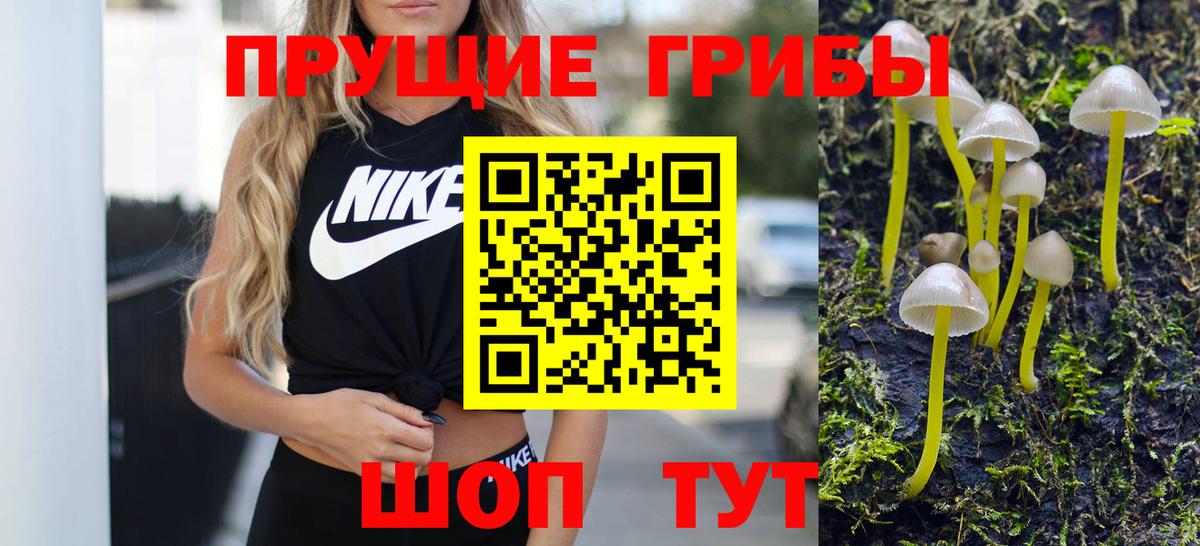 Нефтекамск  Галлюциногенные грибы MAGIC MUSHROOMS  купить   Вход с VPN 