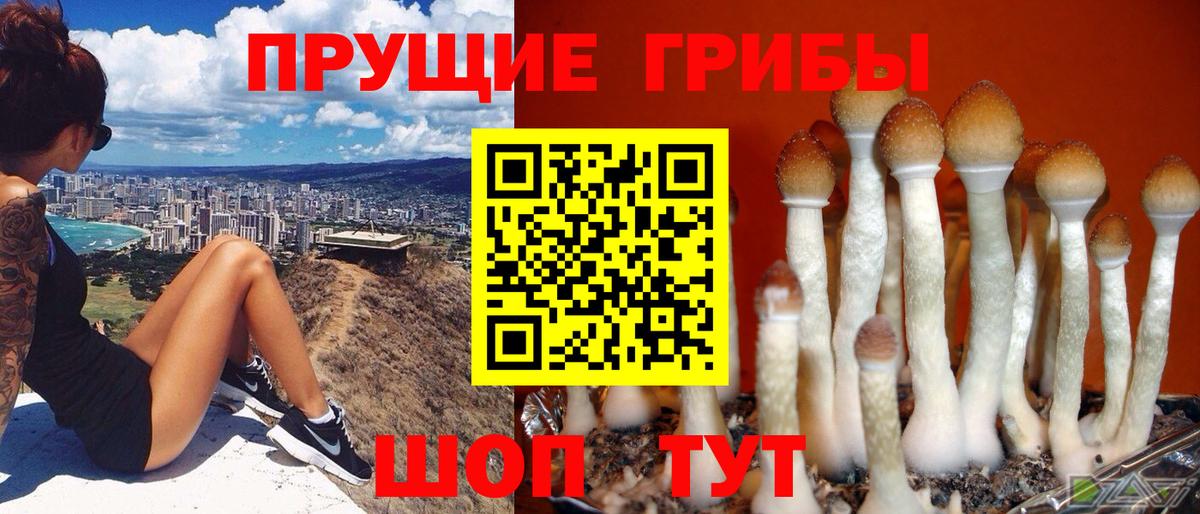 Псилоцибиновые грибы мухоморы Нефтекамск